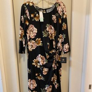 FORTUNE + IVY Lennora Knot Detail Knit Dress 1X | Black